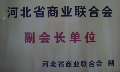 河北省商業(yè)聯(lián)合會(huì)副會(huì)長單位-酒店洗衣房設(shè)備